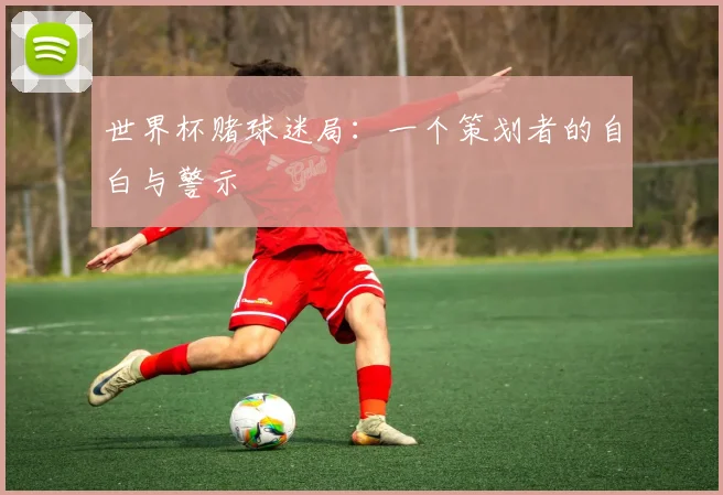 世界杯赌球迷局：一个策划者的自白与警示