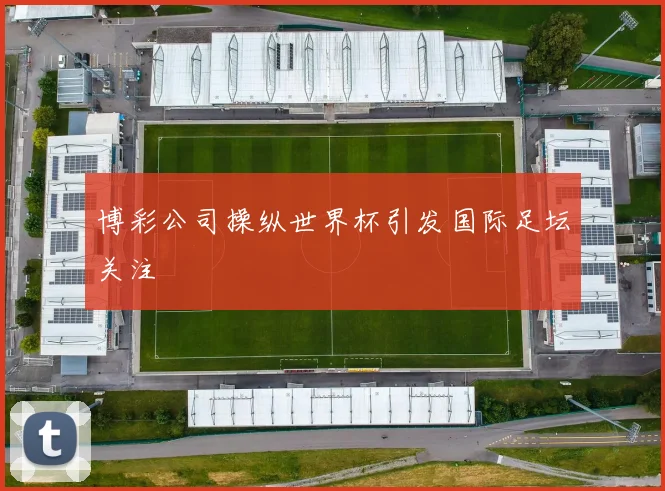 博彩公司操纵世界杯引发国际足坛关注