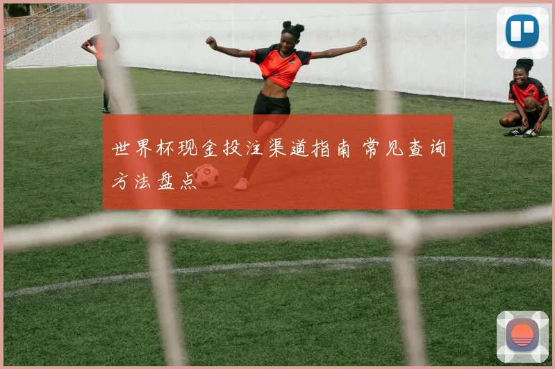 世界杯现金投注渠道指南 常见查询方法盘点