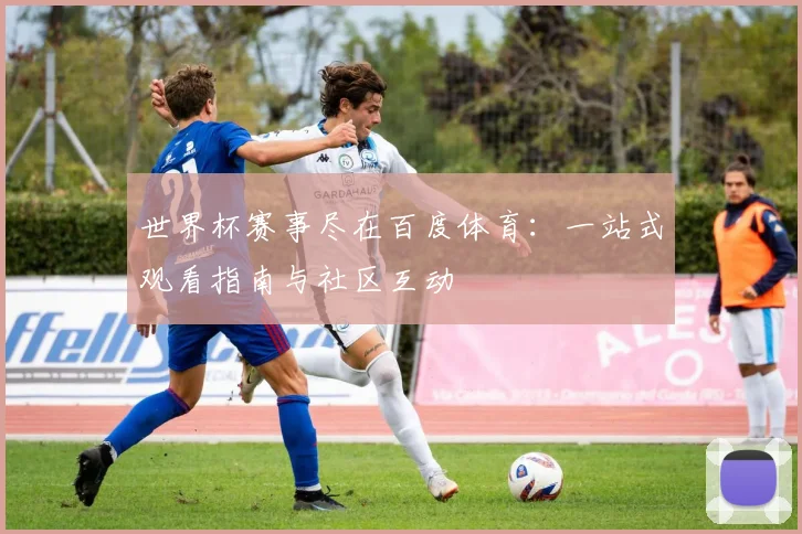 世界杯赛事尽在百度体育:一站式观看指南与社区互动