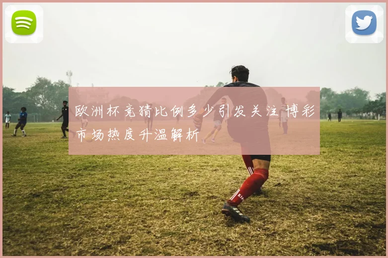 欧洲杯竞猜比例多少引发关注 博彩市场热度升温解析