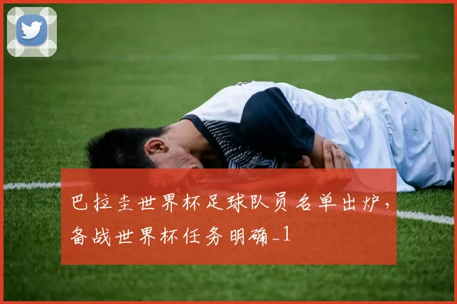 巴拉圭世界杯足球队员名单出炉，备战世界杯任务明确_1