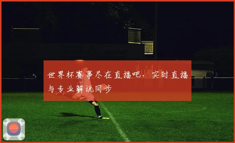 世界杯赛事尽在直播吧，实时直播与专业解说同步