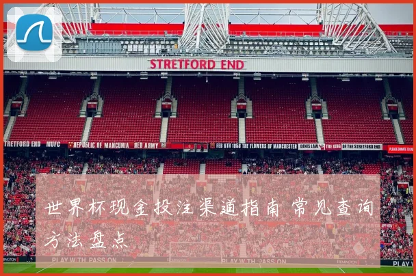 世界杯现金投注渠道指南 常见查询方法盘点