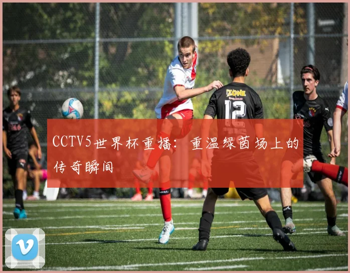 CCTV5世界杯重播：重温绿茵场上的传奇瞬间