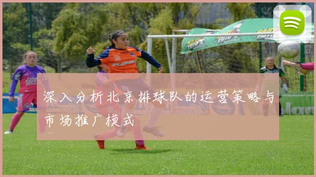 深入分析北京排球队的运营策略与市场推广模式