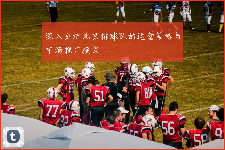 深入分析北京排球队的运营策略与市场推广模式
