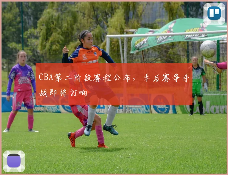 CBA第二阶段赛程公布,季后赛争夺战即将打响
